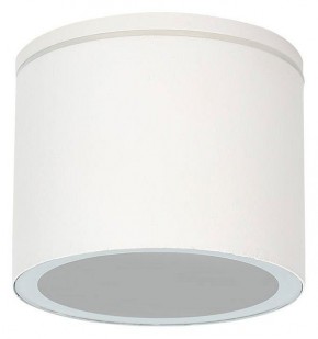 Накладной светильник Arte Lamp Piautos A1913PF-1WH в Верхней Салде - verhnyaya-salda.ok-mebel.com | фото