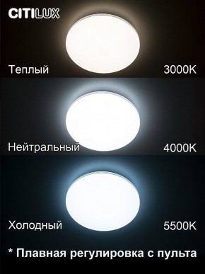 Накладной светильник Citilux Симпла CL714330G в Верхней Салде - verhnyaya-salda.ok-mebel.com | фото 4