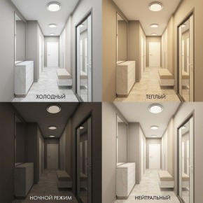 Накладной светильник Denkirs Cany DK6516-WH в Верхней Салде - verhnyaya-salda.ok-mebel.com | фото 2