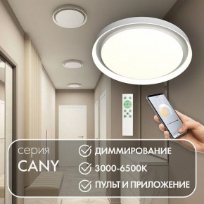 Накладной светильник Denkirs Cany DK6516-WH в Верхней Салде - verhnyaya-salda.ok-mebel.com | фото 4