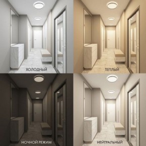 Накладной светильник Denkirs PLATO DK6511-WH/1 в Верхней Салде - verhnyaya-salda.ok-mebel.com | фото 5