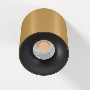 Накладной светильник Elektrostandard Primo 25116/LED в Верхней Салде - verhnyaya-salda.ok-mebel.com | фото 2