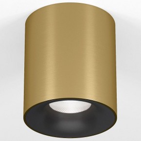 Накладной светильник Elektrostandard Primo 25116/LED в Верхней Салде - verhnyaya-salda.ok-mebel.com | фото 2