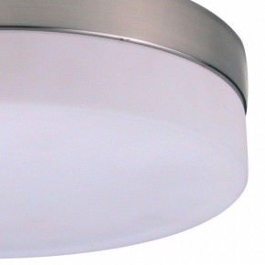 Накладной светильник Globo Opal 48402 в Верхней Салде - verhnyaya-salda.ok-mebel.com | фото 2