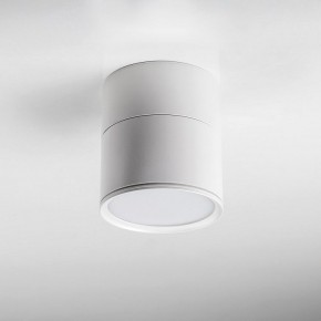 Накладной светильник Lightstar Acuto 215886 в Верхней Салде - verhnyaya-salda.ok-mebel.com | фото 3