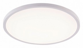 Накладной светильник Natali Kovaltseva PLAIN LED LAMPS 81113/4C в Верхней Салде - verhnyaya-salda.ok-mebel.com | фото