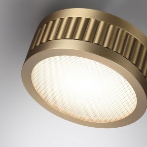 Накладной светильник Odeon Light Manchester 7013/7CL в Верхней Салде - verhnyaya-salda.ok-mebel.com | фото 5