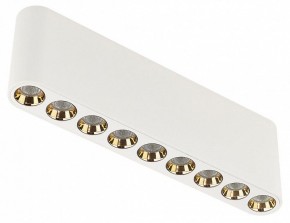 Накладной светильник Odeon Light Small 7091/21CL в Верхней Салде - verhnyaya-salda.ok-mebel.com | фото
