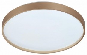 Накладной светильник Sonex Gaby 7783/DL в Верхней Салде - verhnyaya-salda.ok-mebel.com | фото 4