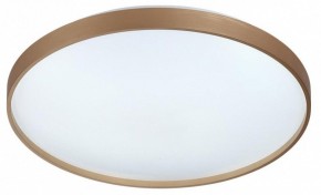 Накладной светильник Sonex Gaby 7783/EL в Верхней Салде - verhnyaya-salda.ok-mebel.com | фото 6