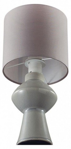 Настольная лампа декоративная Lumion Segi 8129/1Т в Верхней Салде - verhnyaya-salda.ok-mebel.com | фото 3