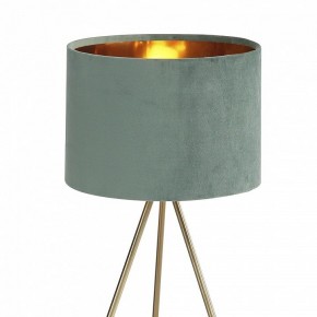 Настольная лампа декоративная ST-Luce FUEGO SL6242.704.01 в Верхней Салде - verhnyaya-salda.ok-mebel.com | фото 5