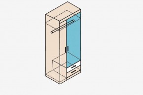 НИКА Н10з Шкаф для одежды в Верхней Салде - verhnyaya-salda.ok-mebel.com | фото 4