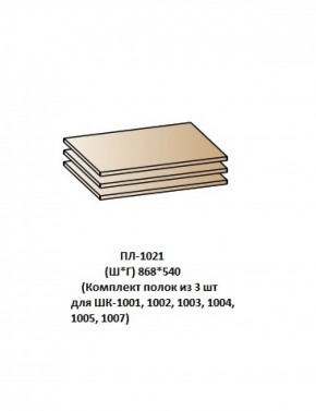 ПЛ-1021 (Комплект полок из 3 шт для ШК-1001, 1002, 1003, 1004, 1005, 1007) в Верхней Салде - verhnyaya-salda.ok-mebel.com | фото