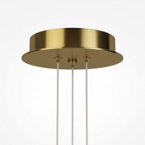 Подвесная люстра Maytoni Arana MOD401PL-L108BS3K в Верхней Салде - verhnyaya-salda.ok-mebel.com | фото 7