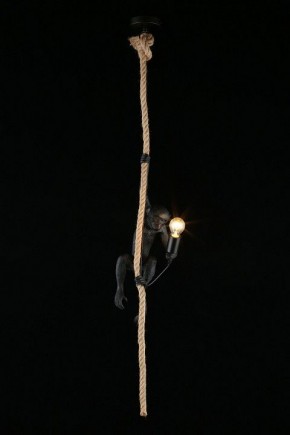 Подвесной светильник Aployt Magali APL.309.16.01 в Верхней Салде - verhnyaya-salda.ok-mebel.com | фото 3
