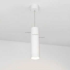 Подвесной светильник Arlight SP-POLO-HANG-LONG300-R85-15W Warm3000 (WH-WH, 40 deg) 027414 в Верхней Салде - verhnyaya-salda.ok-mebel.com | фото 2