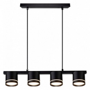 Подвесной светильник Arte Lamp Legacy A8024SP-4BK в Верхней Салде - verhnyaya-salda.ok-mebel.com | фото 2