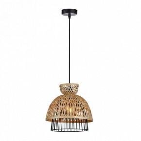 Подвесной светильник Arte Lamp Woodstock A7070SP-1BK в Верхней Салде - verhnyaya-salda.ok-mebel.com | фото