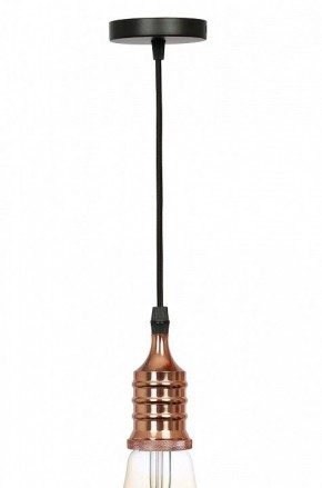Подвесной светильник Эра PL13 Б0048525 в Верхней Салде - verhnyaya-salda.ok-mebel.com | фото 3