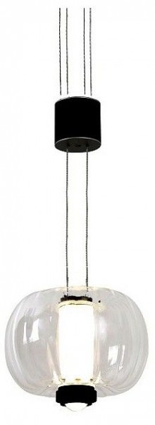 Подвесной светильник Favourite Lyfta 4493-1P в Верхней Салде - verhnyaya-salda.ok-mebel.com | фото