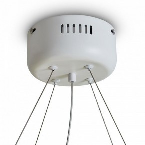 Подвесной светильник Freya Rain FR5546PL-L60W в Верхней Салде - verhnyaya-salda.ok-mebel.com | фото 9