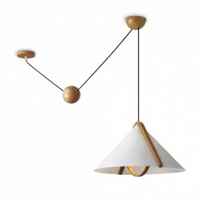 Подвесной светильник Freya Umbra FR5554CL-01T в Верхней Салде - verhnyaya-salda.ok-mebel.com | фото 2