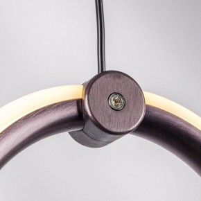 Подвесной светильник Lightstar Caramello 796229 в Верхней Салде - verhnyaya-salda.ok-mebel.com | фото 10