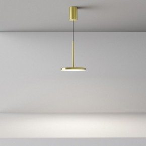Подвесной светильник Maytoni Plato P076PL-L12W4K-BS в Верхней Салде - verhnyaya-salda.ok-mebel.com | фото 4