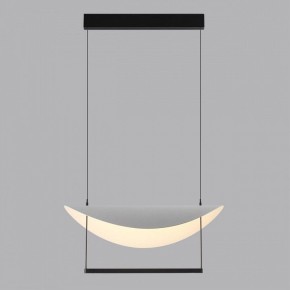Подвесной светильник Odeon Light Next 7015/20L в Верхней Салде - verhnyaya-salda.ok-mebel.com | фото 4