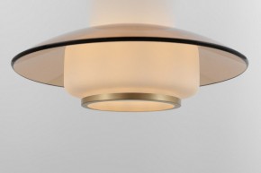 Подвесной светильник Rivoli Camille Б0061901 в Верхней Салде - verhnyaya-salda.ok-mebel.com | фото 11