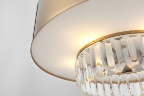 Подвесной светильник Rivoli Vickie Б0061902 в Верхней Салде - verhnyaya-salda.ok-mebel.com | фото 14