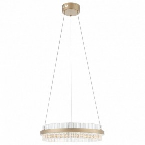 Подвесной светильник ST-Luce Cherio SL383.203.01 в Верхней Салде - verhnyaya-salda.ok-mebel.com | фото 3