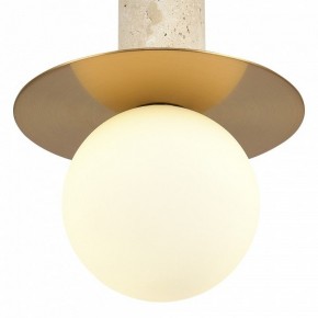 Подвесной светильник ST-Luce Earthy SL1194.303.01 в Верхней Салде - verhnyaya-salda.ok-mebel.com | фото 5