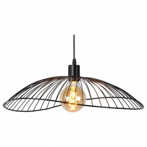 Подвесной светильник TopLight Agnes TL1196H-01BK в Верхней Салде - verhnyaya-salda.ok-mebel.com | фото