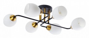 Потолочная люстра Arte Lamp Andrea A8141PL-6BK в Верхней Салде - verhnyaya-salda.ok-mebel.com | фото