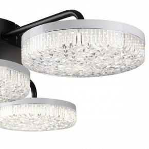 Потолочная люстра Lumion Didana 8236/4CL в Верхней Салде - verhnyaya-salda.ok-mebel.com | фото 7