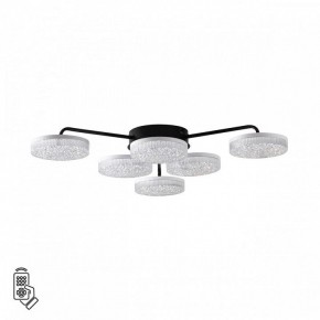 Потолочная люстра Lumion Didana 8236/6CL в Верхней Салде - verhnyaya-salda.ok-mebel.com | фото 5
