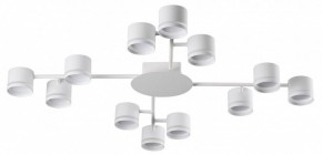 Потолочная люстра Lumion Gareta 8235/12C в Верхней Салде - verhnyaya-salda.ok-mebel.com | фото