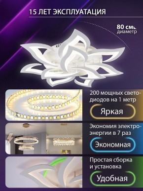 Потолочная люстра Natali Kovaltseva OLIMP LED SMART 84005 в Верхней Салде - verhnyaya-salda.ok-mebel.com | фото 5