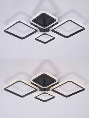 Потолочная люстра Natali Kovaltseva OPTI LED LAMPS 81108/2C в Верхней Салде - verhnyaya-salda.ok-mebel.com | фото 4