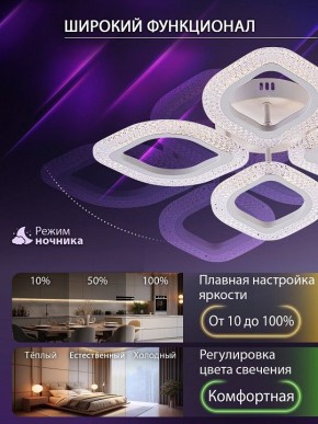 Потолочная люстра Natali Kovaltseva SM LED LAMPS 81455 в Верхней Салде - verhnyaya-salda.ok-mebel.com | фото 6