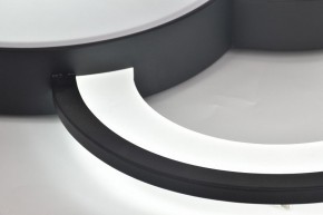 Потолочная люстра Rivoli Aliona Б0066452 в Верхней Салде - verhnyaya-salda.ok-mebel.com | фото 12