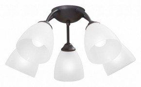 Потолочная люстра Vitaluce V3184 V3737-2/5PL в Верхней Салде - verhnyaya-salda.ok-mebel.com | фото