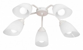 Потолочная люстра Vitaluce V31950 V31950/5PL в Верхней Салде - verhnyaya-salda.ok-mebel.com | фото