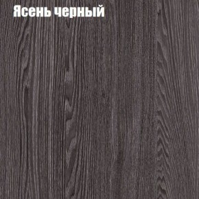 Прихожая ДИАНА-4 сек №10 (Ясень анкор/Дуб эльза) в Верхней Салде - verhnyaya-salda.ok-mebel.com | фото 3