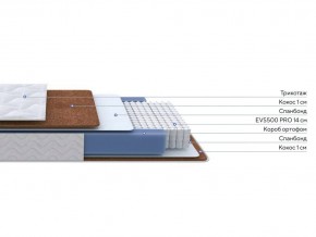 PROxSON Матрас Active F Roll (Ткань Трикотаж Эко) 160x200 в Верхней Салде - verhnyaya-salda.ok-mebel.com | фото 3