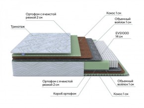 PROxSON Матрас Green M (Tricotage Dream) 120x195 в Верхней Салде - verhnyaya-salda.ok-mebel.com | фото 7