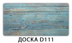 Раздвижной СТ Бриз орхидея R041 Доска D113 в Верхней Салде - verhnyaya-salda.ok-mebel.com | фото 12