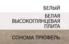 Шкаф 2D/TYP 20A, LINATE ,цвет белый/сонома трюфель в Верхней Салде - verhnyaya-salda.ok-mebel.com | фото 4